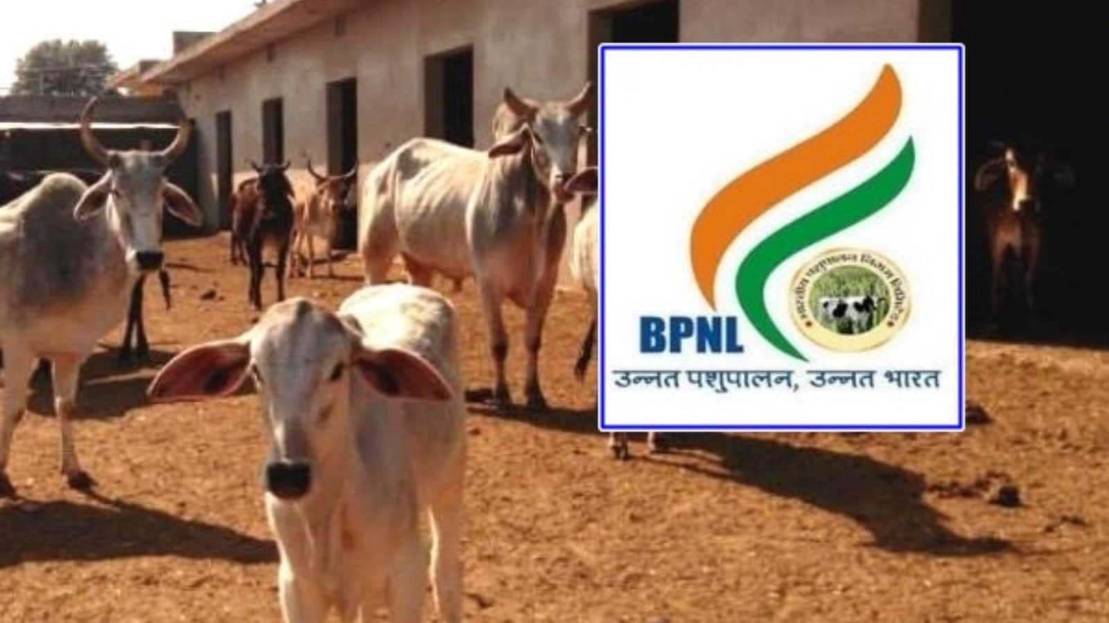BPNL-யில் 4,936 காலிப்பணியிடங்கள்… ரூ. 35,000/- சம்பளம்