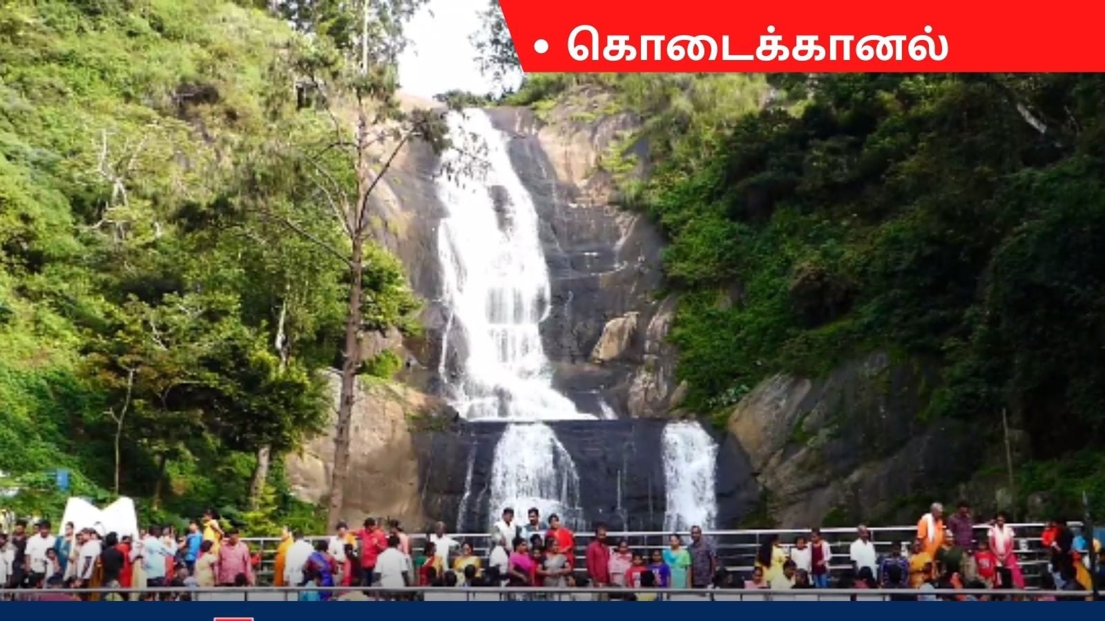 கொள்ளை அழகில் கொட்டும் வெள்ளி நீர்வீழ்ச்சி.. ரம்மியமான சூழல்..  கொடைக்கானலில் குவியும் சுற்றுலா பயணிகள்