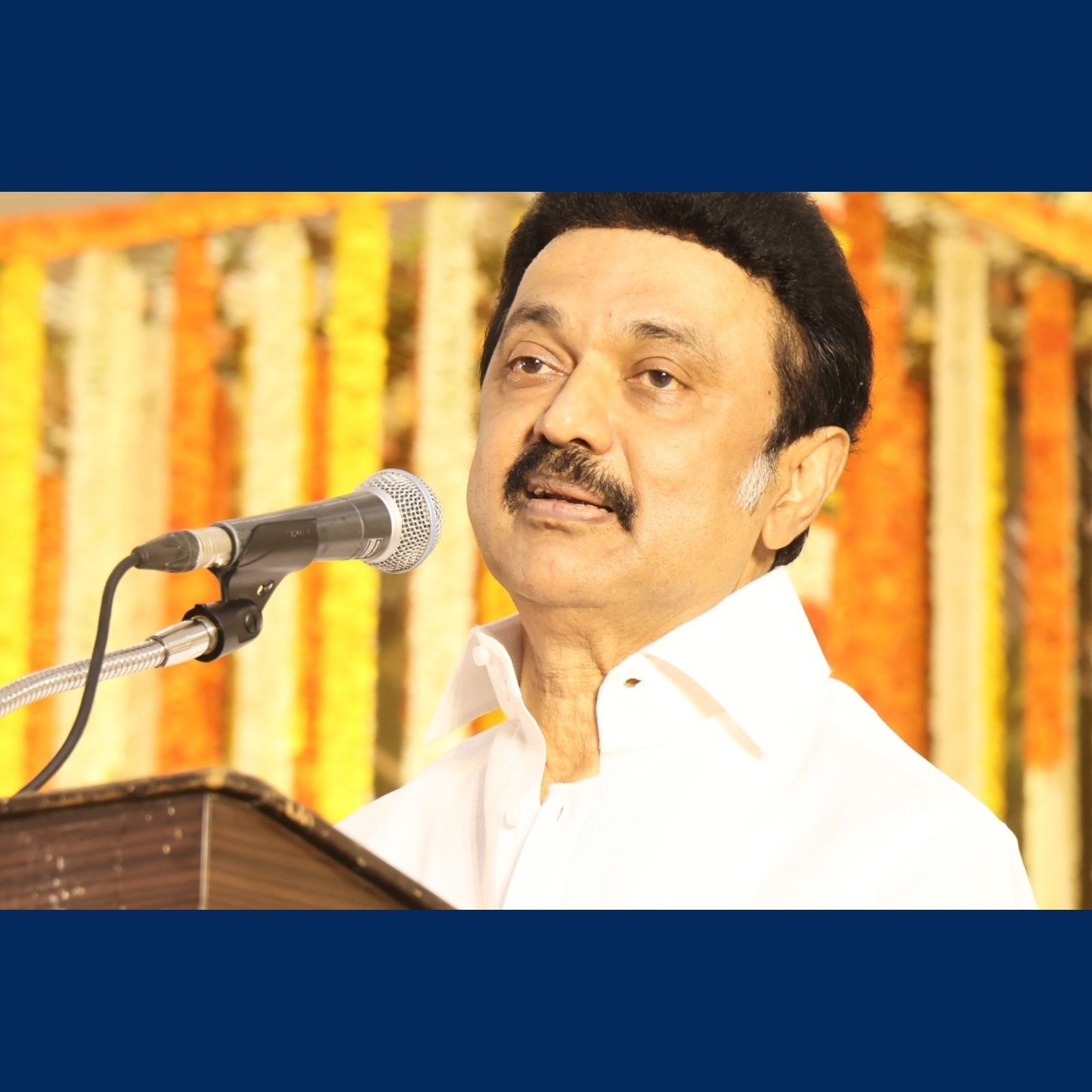 “உலகில் முதலில் பிறந்த குரங்கு - தமிழ்க்குரங்குதான்"  - மு.க.ஸ்டாலின்