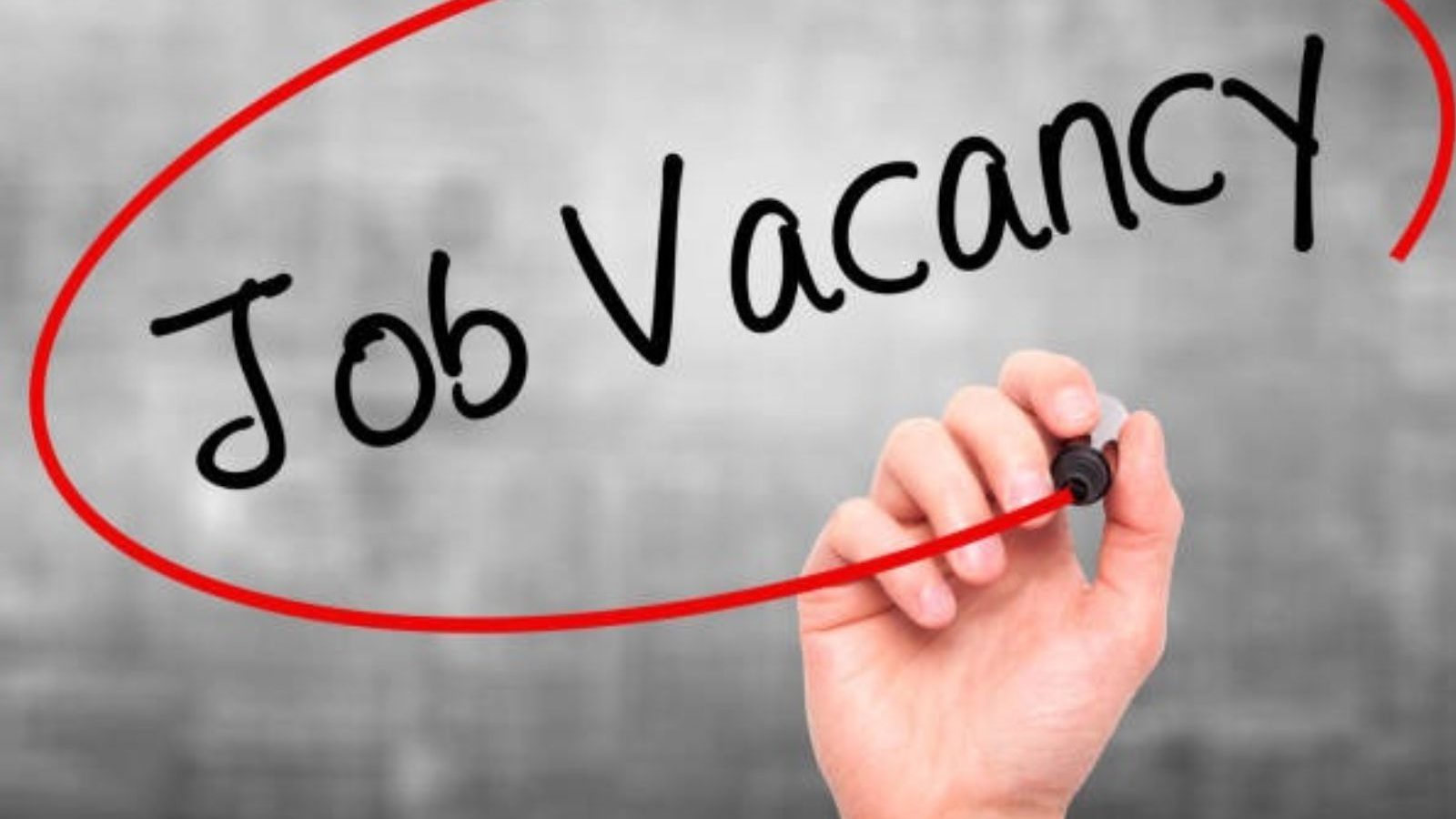 14 அலுவல் சாரா உறுப்பினர்களுக்கு விண்ணப்பிக்கலாம்