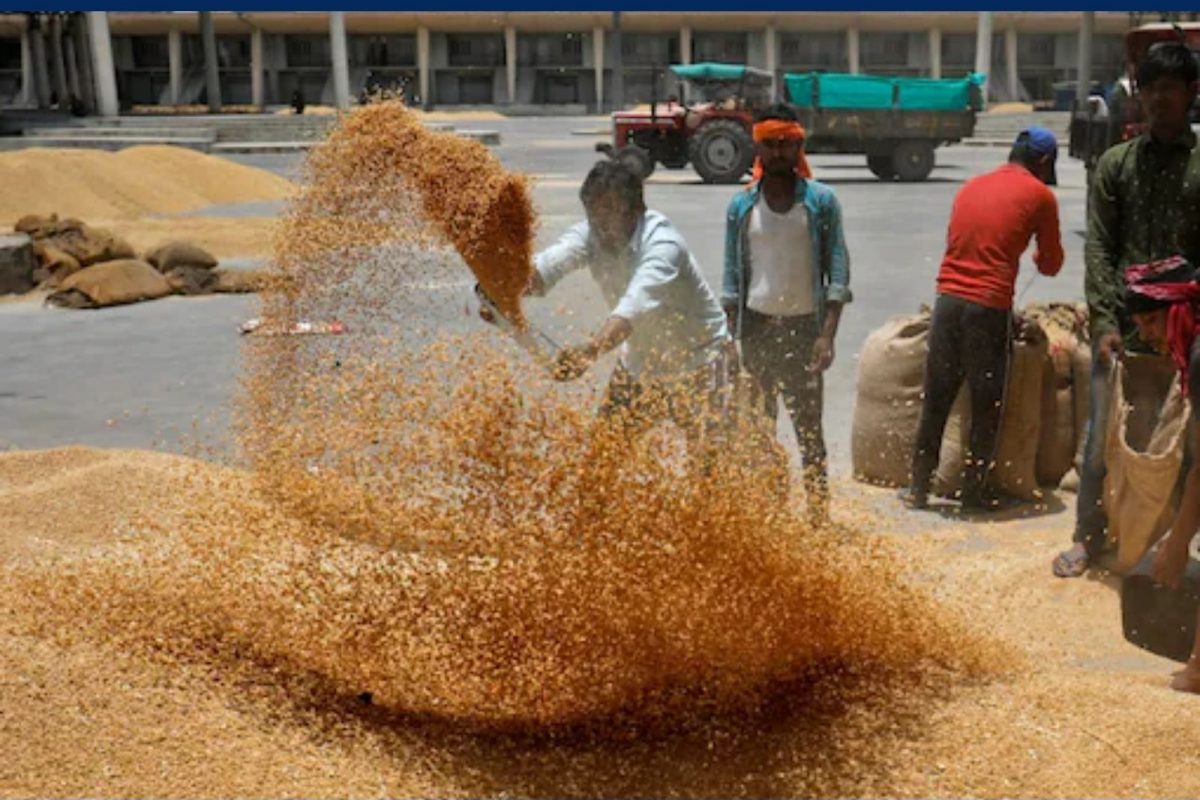 இந்திய கோதுமை ஏற்றுமதிக்கு தடை விதித்த ஐக்கிய அரபு அமீரகம்