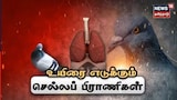 Many diseases are also spread from pets?