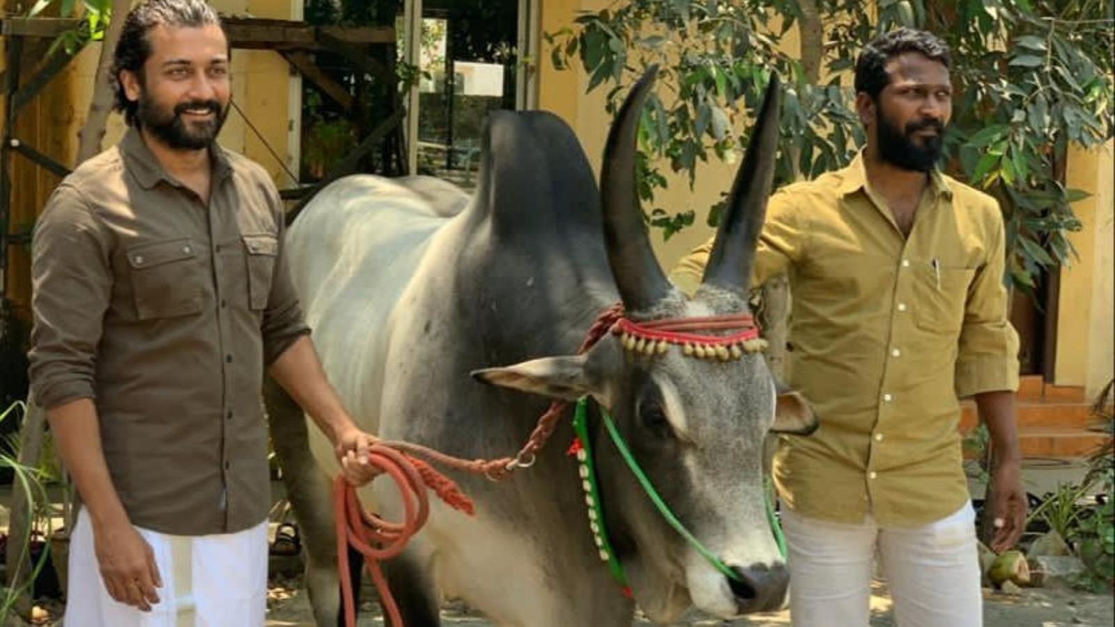 சூர்யா ரசிகர்கள் ஆவலுடன் எதிர்பார்க்கும் வீடியோ இன்று மாலை வெளியாகிறது…