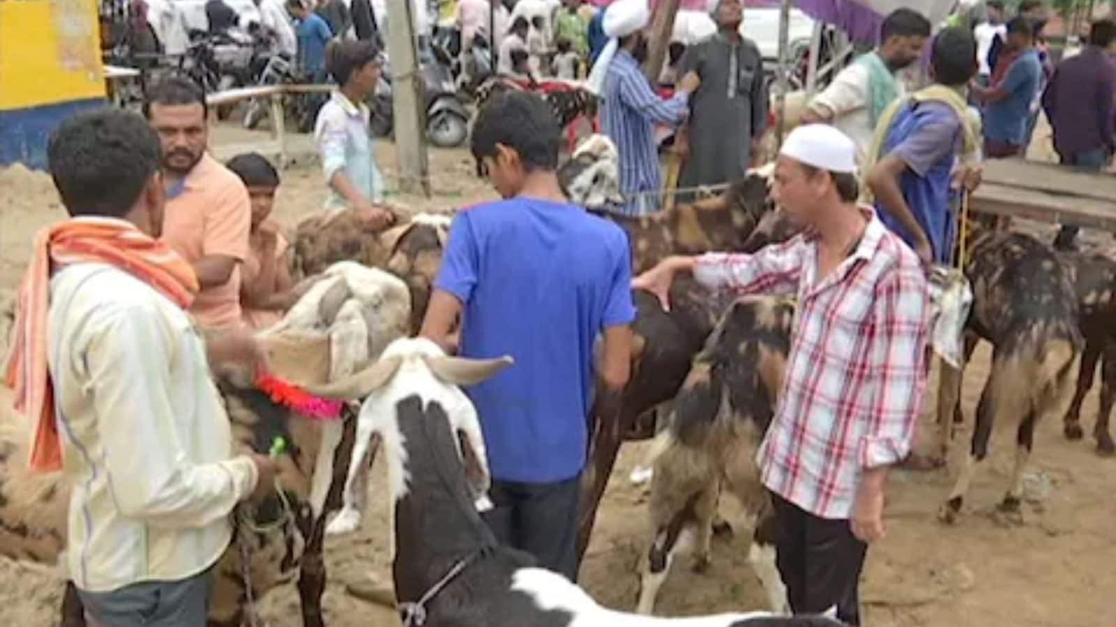 பக்ரீத் பண்டிகையையொட்டி ரூ.8 லட்சத்திற்கு விற்பனை ஆன ஆடு