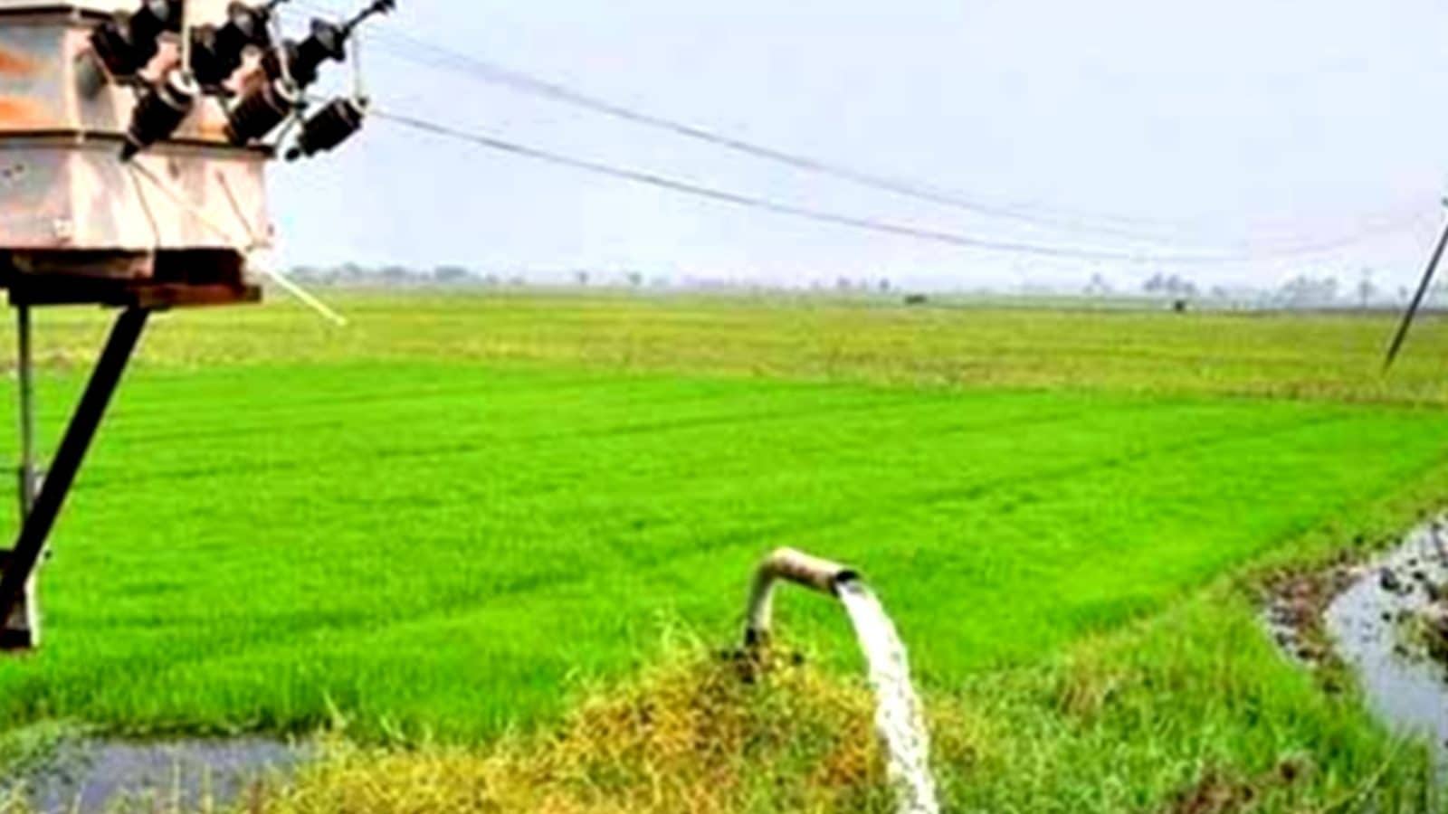 விவசாய மின் இணைப்புக்கு இன்று முதல் இணையதளத்தில் விண்ணப்பிக்கலாம்!