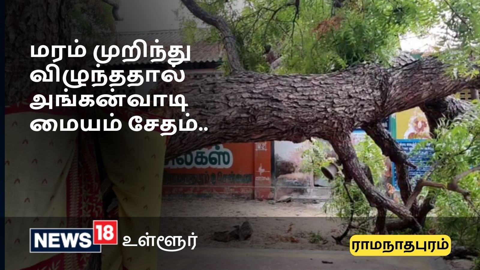 சூரைக்காற்றுக்கு மரம் விழுந்து ராமேஸ்வரத்தில் அங்கன்வாடி மைய கட்டிடம் சேதம்.. அசம்பாவிதம் தவிர்ப்பு..