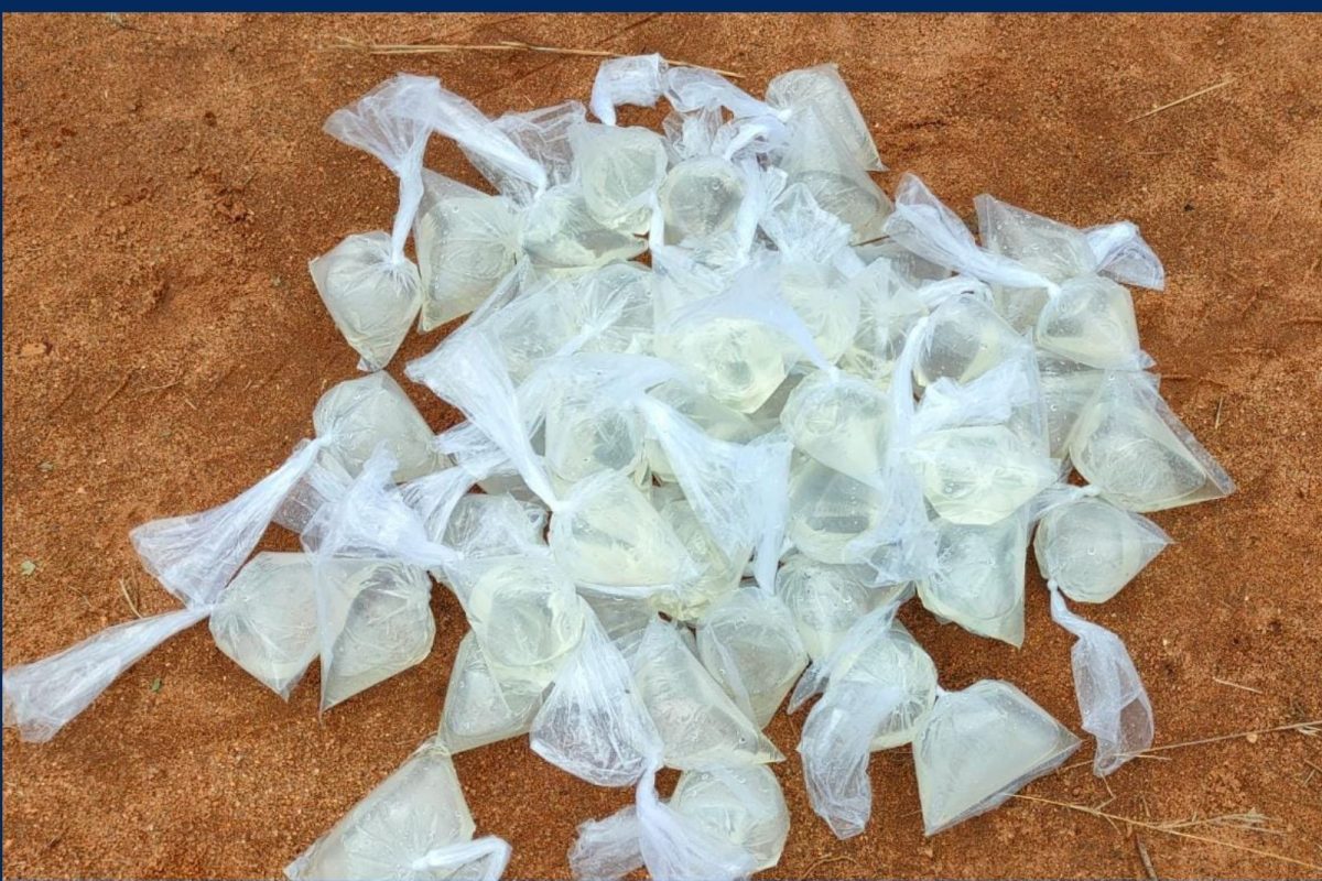 திருவண்ணாமலை மாவட்டத்தில் படுஜோராக நடைபெறும் கள்ளசாரய விற்பனை.! – News18 தமிழ்