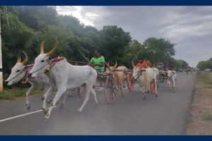 மானாமதுரையில் இரட்டை மாட்டுவண்டி பந்தயம்.. சீறிப்பாய்ந்த காளைகள்...
