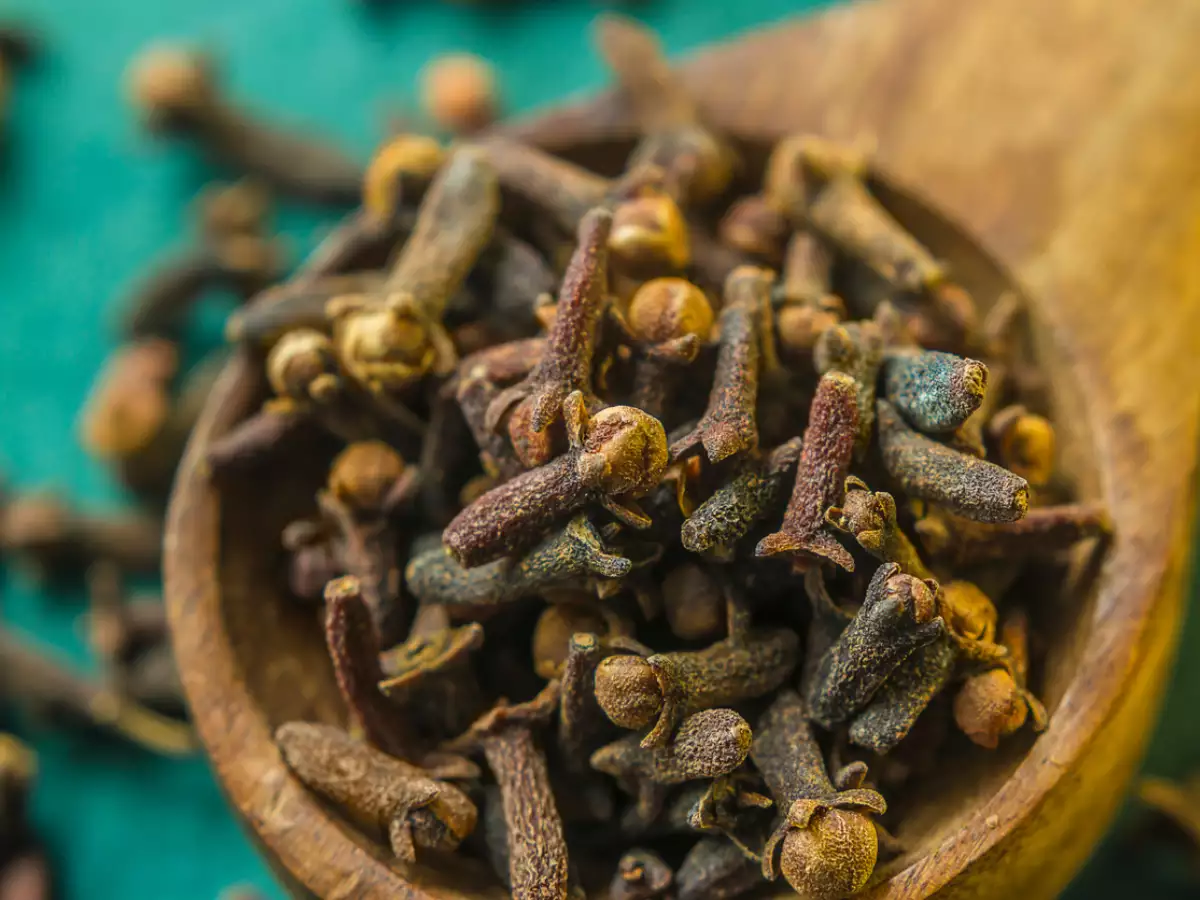  எல்லாவற்றுக்கும் மேலாக மேலே குறிப்பிடப்படி ஆண்களுக்கு இருக்கும் சில பொதுவான பாலியல் பிரச்சனைகளை சரி செய்கிறது. கிராம்புகளில் உள்ள அத்தியாவசிய எண்ணெய் ஆண்களுக்கும், பெண்களுக்கும் ஆற்றலை மேம்படுத்த உதவுகிறது. செக்ஸ் டிரைவ் மற்றும் விந்தணு இயக்கத்தை மேம்படுத்தும் பழங்கால ரகசியங்களில் ஒன்றாக கிராம்பின் பயன்பாடு இருக்கிறது.