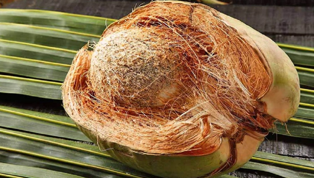 இப்போதும் கூட சில வீடுகளில் தேங்காய் மட்டை அடுப்பெரிக்க பயன்படுகிறது. அதேபோல் விவசாயத்தில் தேங்காய் மட்டையின் பங்கு அளப்பறியது. வயலுக்கு தண்ணீர் பாய்ச்சும் போது அவை வேகமாக ஆவியாதலை தடுக்க அத்துடன் தேங்காய் மட்டையை விவசாயிகள் ஊறவைக்கின்றனர். அதேபோல் தேங்காய் மட்டைகளை மக்க வைத்து இயற்கை உரமாகவும் பயன்படுத்தலாம். இதைத் தவிர தனிநபருக்கு தேங்காய் மட்டை மூலமாக எந்த பலனும் இல்லை என நினைப்பவர்களுக்காகவே, தேங்காய் மட்டையைப் பயன்படுத்துவதற்கான சில ஸ்மார்ட் ஹேக்குகள் இங்கே கொண்டு வந்துள்ளோம்.