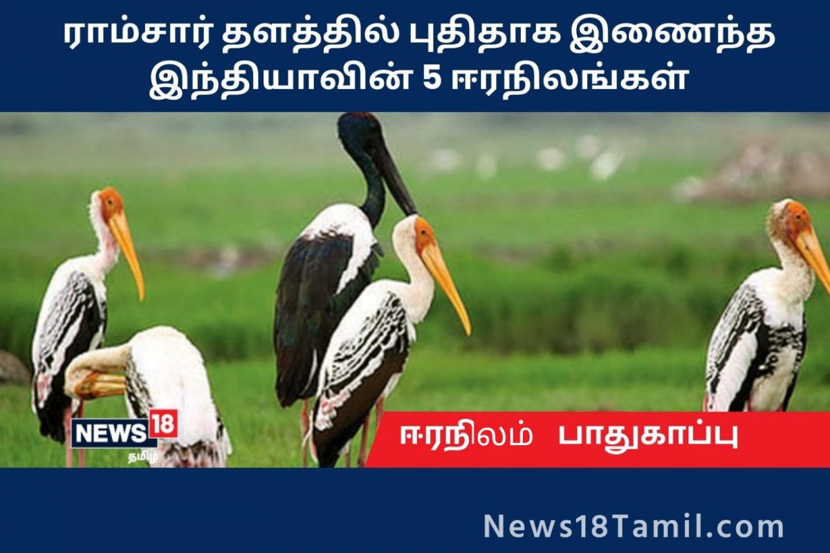 ராம்சார் தளத்தில் புதிதாக இணைந்த இந்தியாவின் 5 ஈரநிலங்கள்