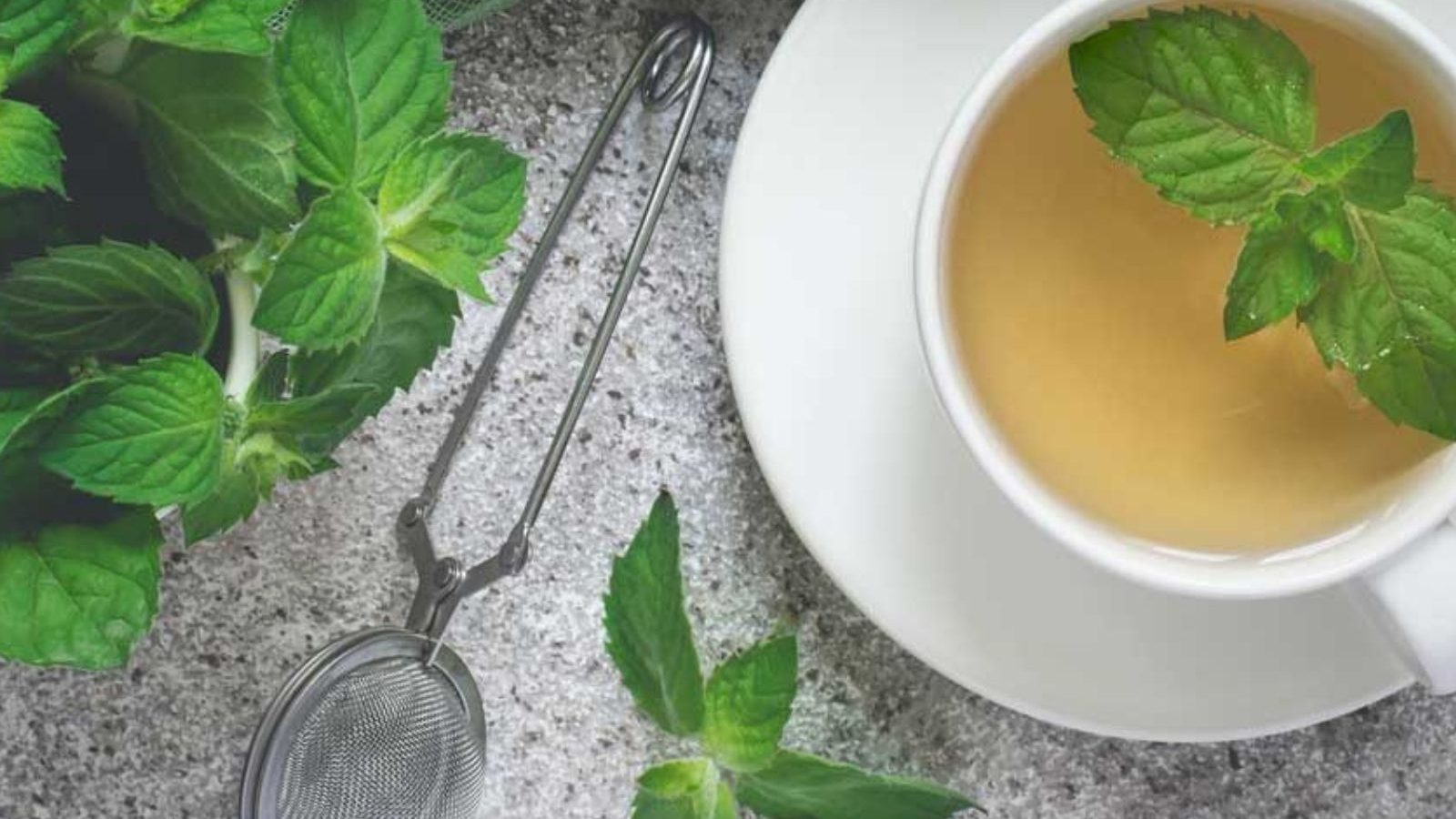 இந்த 5 இலைகள் உங்கள் உடல் எடையை வேகமாக குறைக்க உதவுமாம்...