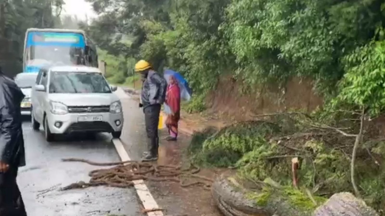 உதகையில் கொட்டும் கனமழை... ராட்சத மரம் விழுந்ததால் நெடுஞ்சாலையில் போக்குவரத்து பாதிப்பு (படங்கள்)