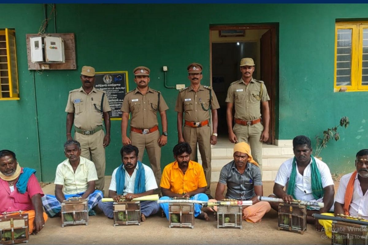 கிளி ஜோதிடர்களை விரட்டி பிடித்து அபராதம் விதித்த வனத்துறையினர்..