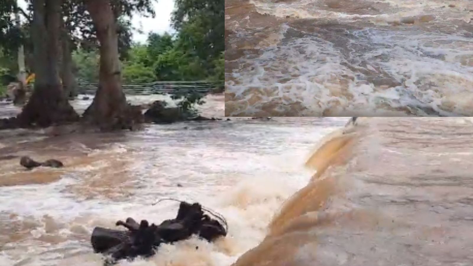 ஒகேனக்கல் காவிரி ஆற்றில் மீண்டும் வெள்ளப்பெருக்கு.. பொதுமக்களுக்கு எச்சரிக்கை