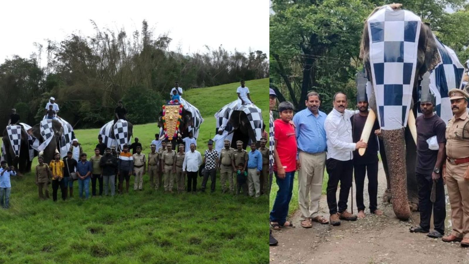 கும்கி யானைகளின் மீது செஸ் போர்டு வடிவ பிளாஸ்டிக் கவர்:   நடவடிக்கை எடுக்க வன ஆர்வலர்கள் கோரிக்கை