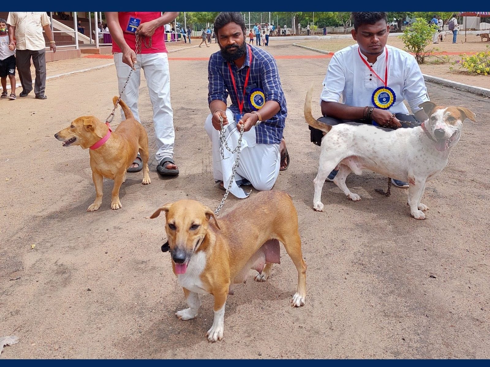 தமிழ்நாடு கால்நடை மருத்துவ அறிவியல் பல்கலைக்கழகம் மற்றும்  கால்நடை மருத்துவக்கல்லூரி சார்பில் "தேசிய அளவிலான நாட்டின நாய்கள் கண்காட்சி மற்றும் கருத்தரங்கம்"  ஆயுதப்படை மைதானத்தில் இன்று நடைபெற்றது. இதில் வணிக வரித்துறை அமைச்சர் மூர்த்தி, கால்நடை பல்கலைக்கழக துணைவேந்தர் செல்வக்குமார், மாவட்ட ஆட்சியர் அனீஷ் சேகர் உள்ளிட்டோர் பங்கேற்று கண்காட்சியை தொடங்கி வைத்தனர்.