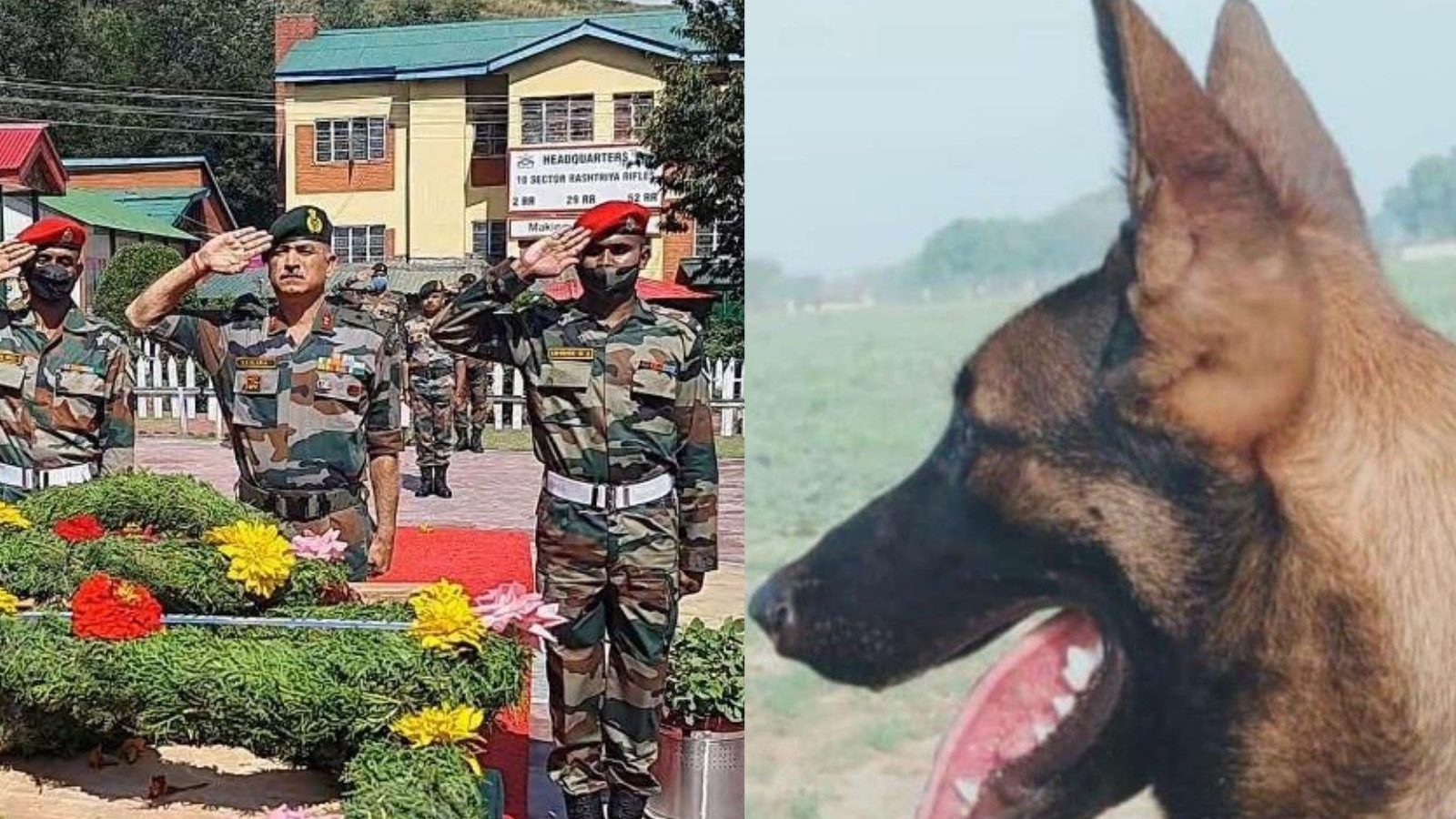 பயங்கரவாதிகளால் சுட்டுக்கொல்லப்பட்ட நாய்.. இறுதி அஞ்சலி செலுத்தி இந்திய ராணுவம் நெகிழ்ச்சி