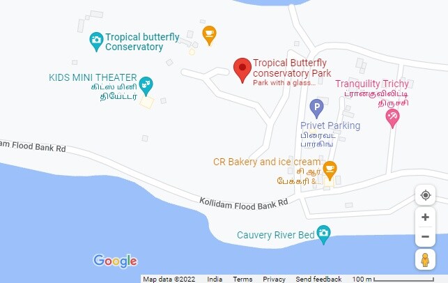 Trichy butterfly park