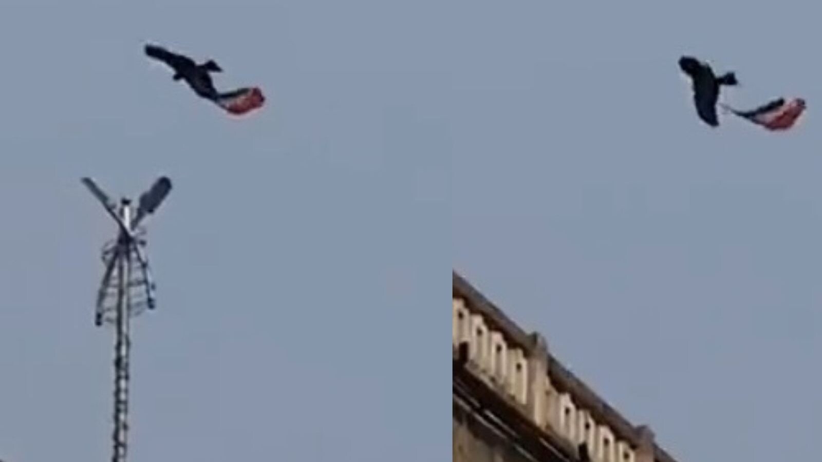 தேசியக் கொடியை வானில் சுமந்து செல்லும் பறவை - இணையத்தில் வைரலாகும் நெகிழ்ச்சி வீடியோ