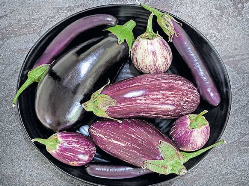  பிற நன்மைகள் : தூக்கமின்மை மற்றும் பிற தூக்கக் கோளாறுகளை குணப்படுத்த கத்தரிக்காயை சாப்பிடலாம் என ஆயுர்வேத மருத்துவர்கள் கூறுகின்றனர். மேலும் நீரழிவு நோயைக் கட்டுப்படுத்துவதற்கும், கட்டுக்கோப்பாக வைத்திருக்கவும் உதவியாக உள்ளது. இதோடு முதல்கட்ட சிறுநீரகக் கற்களைக் கரைக்கும் வல்லமை பெற்றதோடு, வாதநோய், ஆஸ்துமா, ஈரல் நோய்கள், கீல்வாதம், சளி, பித்தம், தொண்டைக்கட்டு, மலச்சிக்கல், கரகரப்பானகுரல், உடல் பருமன் முதலியவற்றைக் குணப்படுத்தும் காய்கறிகளிள் ஒன்றாக கத்தரிக்காயும் உள்ளது.
