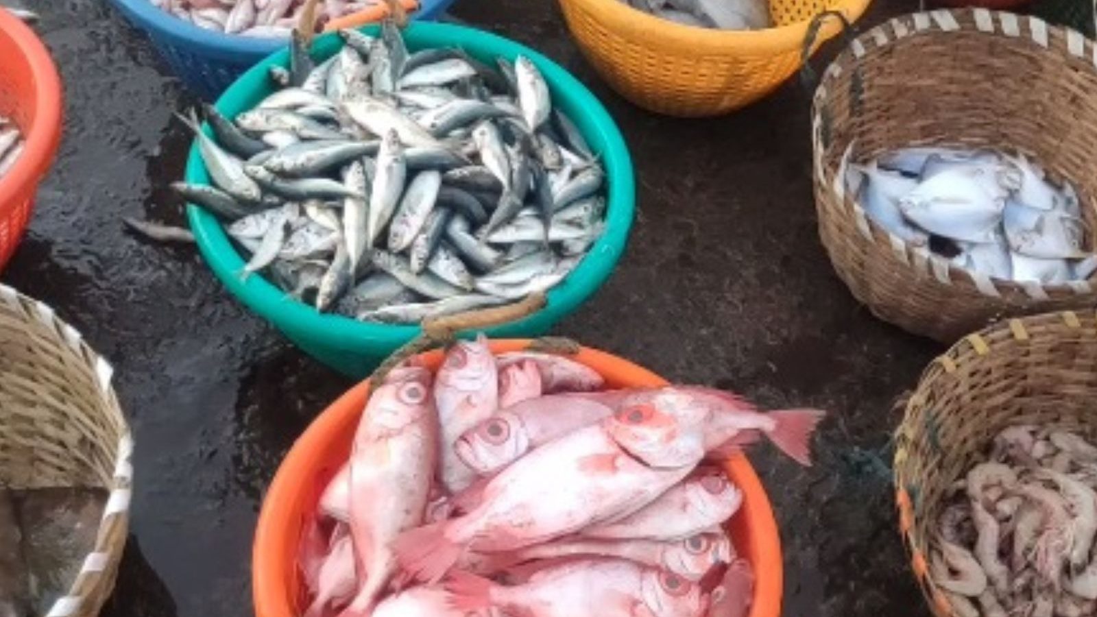 மீன்கள் வரத்து அதிகரிப்பால் விலை குறைந்தது.. அசைவ பிரியர்கள் மகிழ்ச்சி