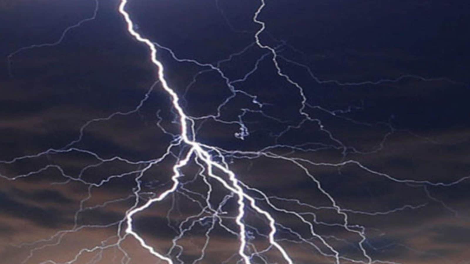 மின்னல் தாக்கி கூலி தொழிலாளர்கள் 4 பேர் பலி... வயலில் வேலை செய்து கொண்டிருந்த போது நேர்ந்த பரிதாபம்