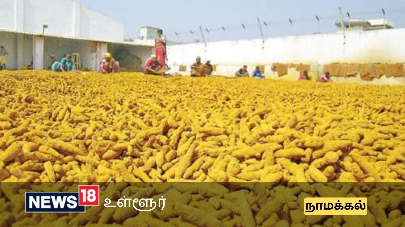 திருச்செங்கோட்டில் ரூ.70 லட்சத்துக்கு ஏலம் போன மஞ்சள்- விவசாயிகள் மகிழ்ச்சி