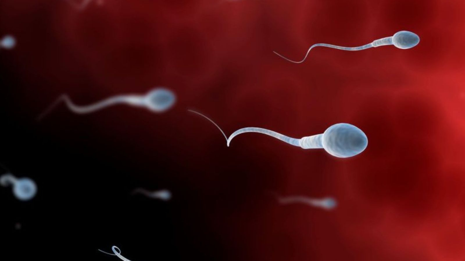 நீண்ட நாட்களுக்கு ஆண்கள் விந்தணுக்களை வெளியேற்றாமல் இருந்தால் இத்தனை நோய்கள் வருமா..? உஷார்...