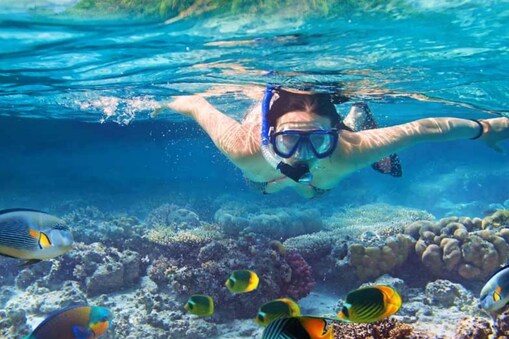 snorkeling