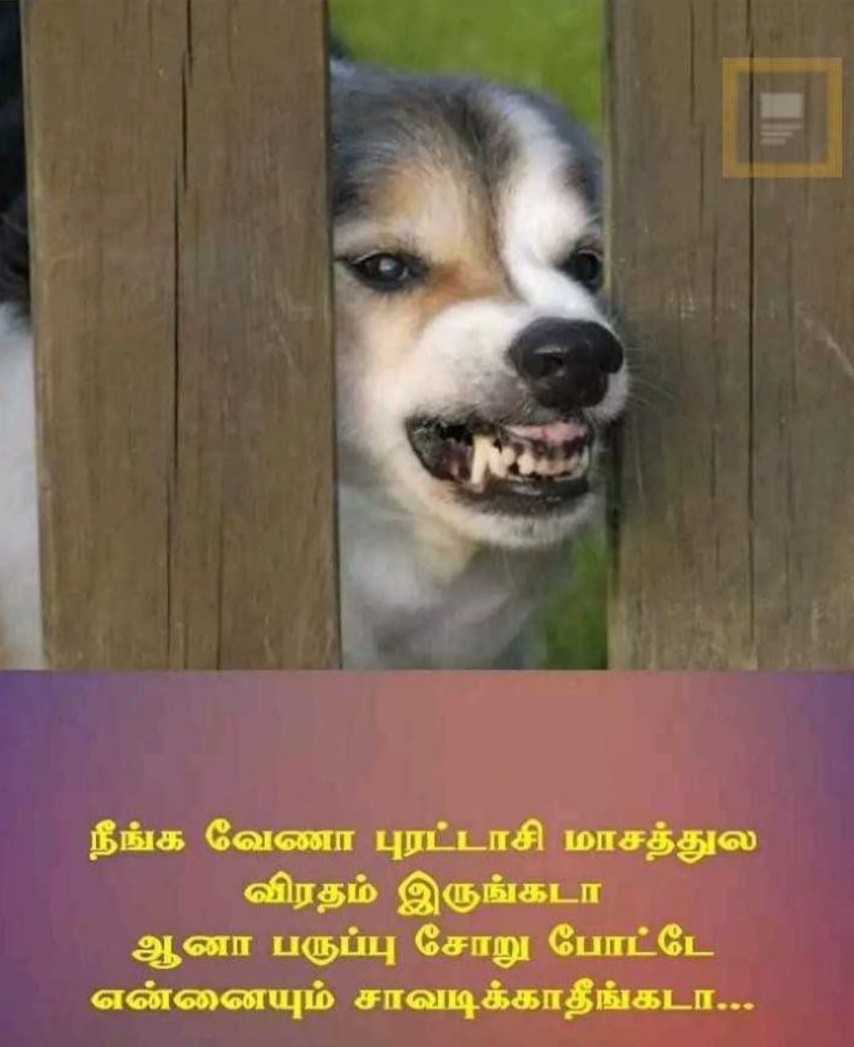  என்ககும் புரட்டாசிக்கும் என்னடா சம்மந்தம் - இணையத்தில் வைரலாகும் புரட்டாசி மீம்ஸ்கள்