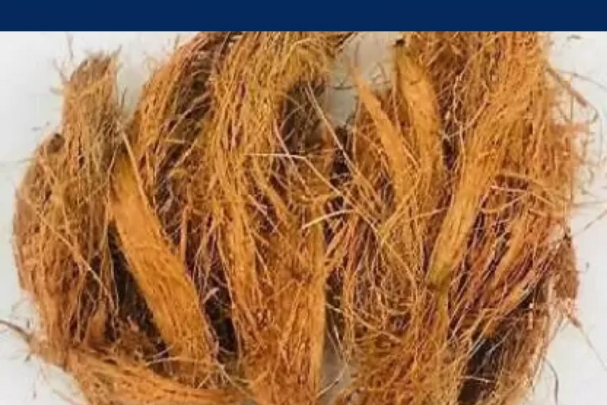 பிளிப்கார்ட்டில் தேங்காய் நார் விற்பனை