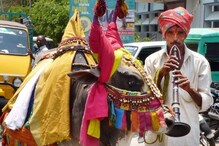 பூம் பூம்பூ மாட்டுக்கார்களின் சோகமான வாழ்க்கை