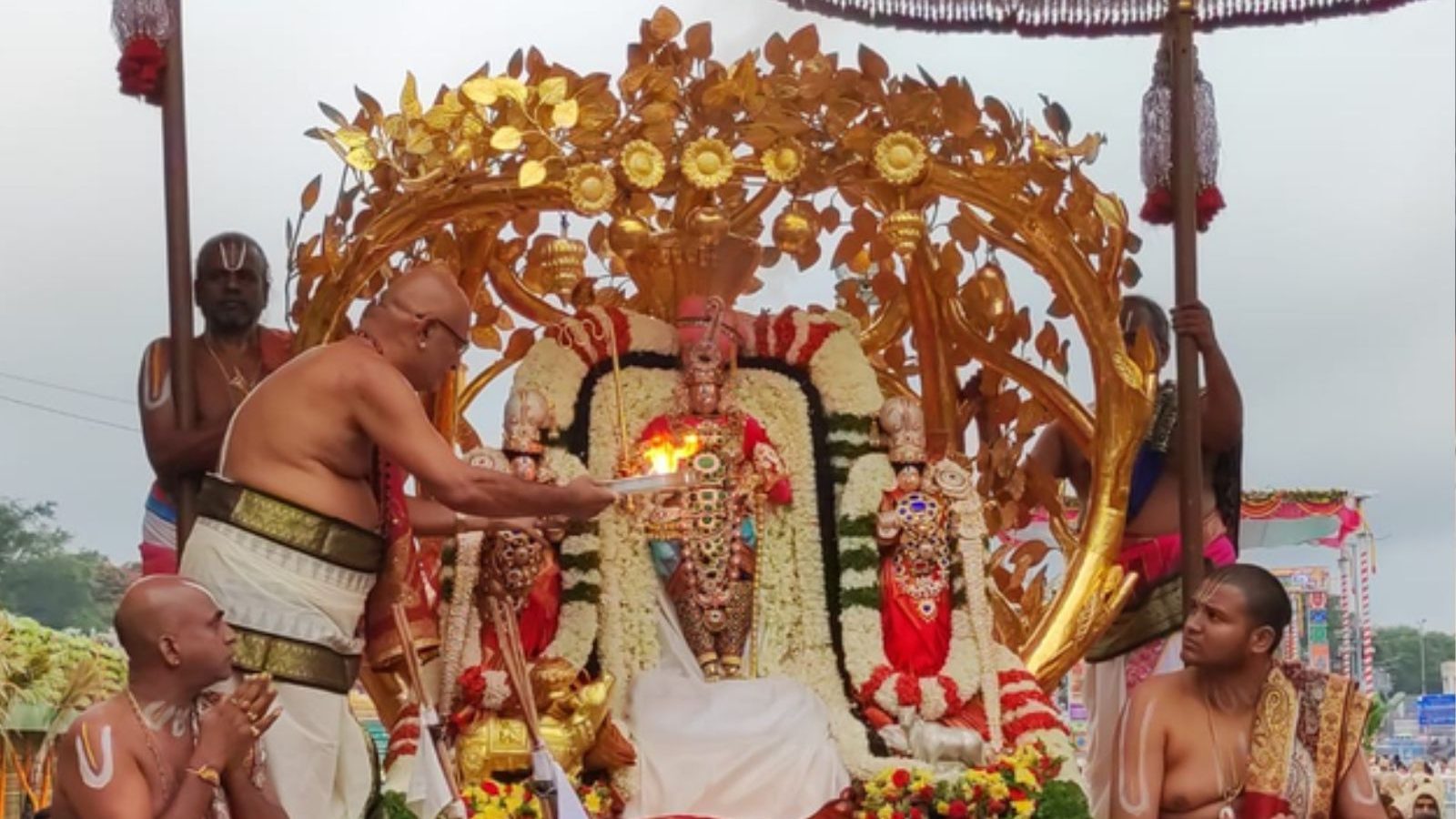 திருப்பதி பிரம்மோற்சவம் நான்காவது நாள் விழா.. கற்பக விருட்ச வாகனத்தில் எழுந்தருளிய மலையப்ப சாமி...