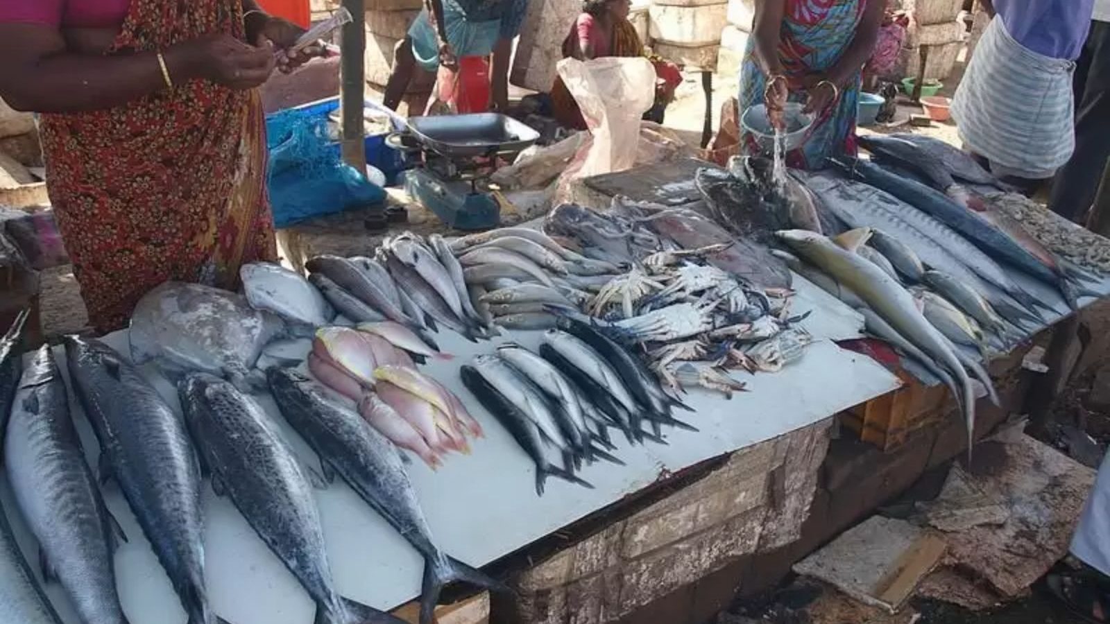 புரட்டாசி மாதம் தொடக்கம் - களையிழந்த காசிமேடு மீன் மார்க்கெட்