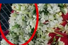 கடப்பாவில் தர்கா சமாதி அசைந்ததாக தகவல்.. வைரலான வீடியோவால் பரபரப்பு