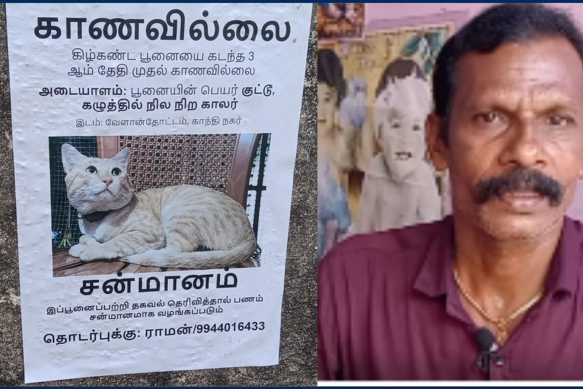 பூனைக்காக காத்திருக்கும் குடும்பம்