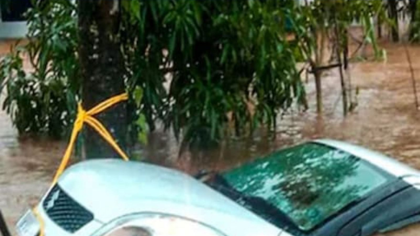 மழை வெள்ளத்தில் இழுத்து செல்லப்பட்ட கார்.. பாட்டியும் பேரனும் பலியான சோகம்