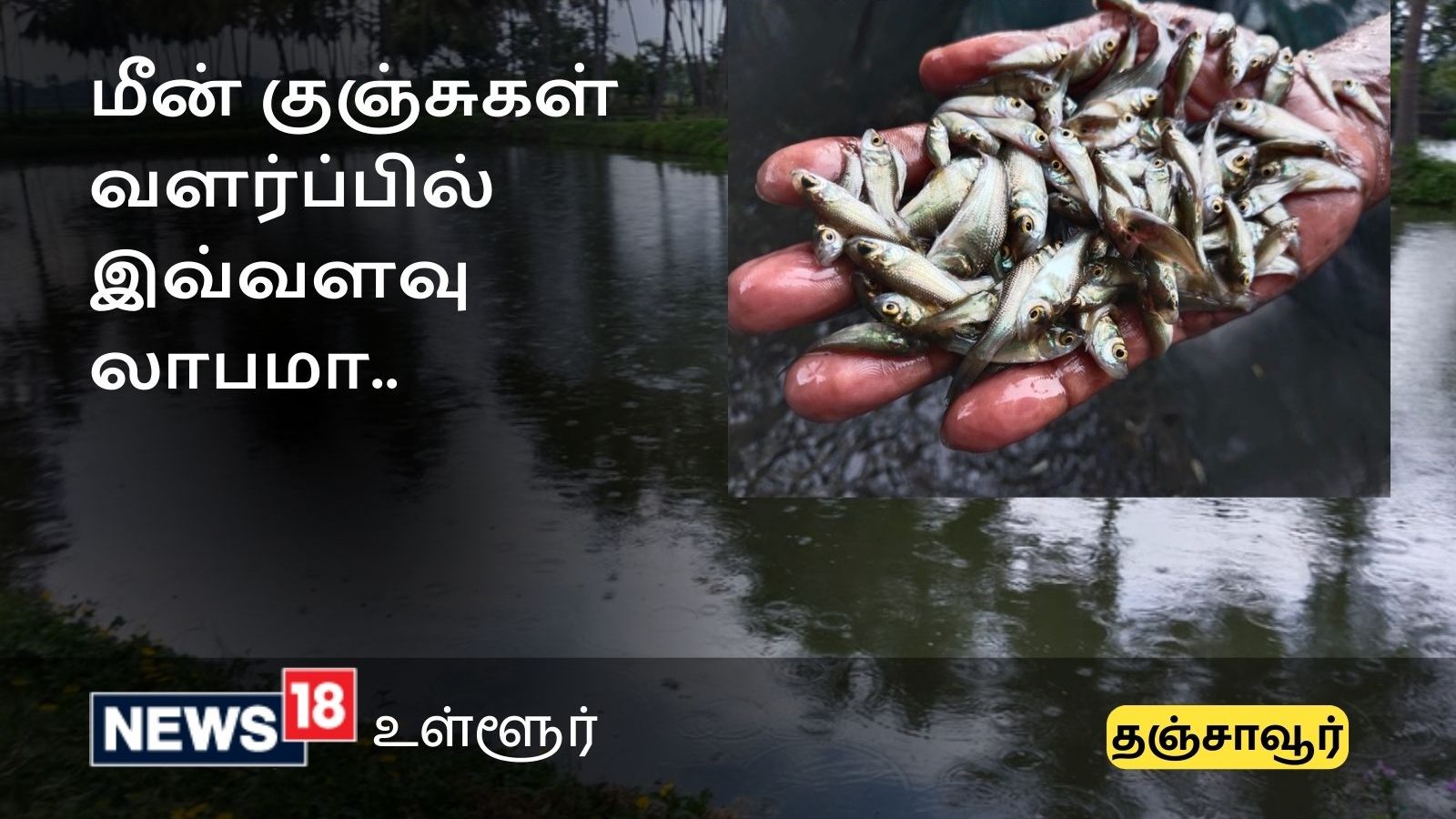 Thanjavur Fish Farming மீன் குஞ்சுகள் வளர்ப்பில் இவ்வளவு லாபமா