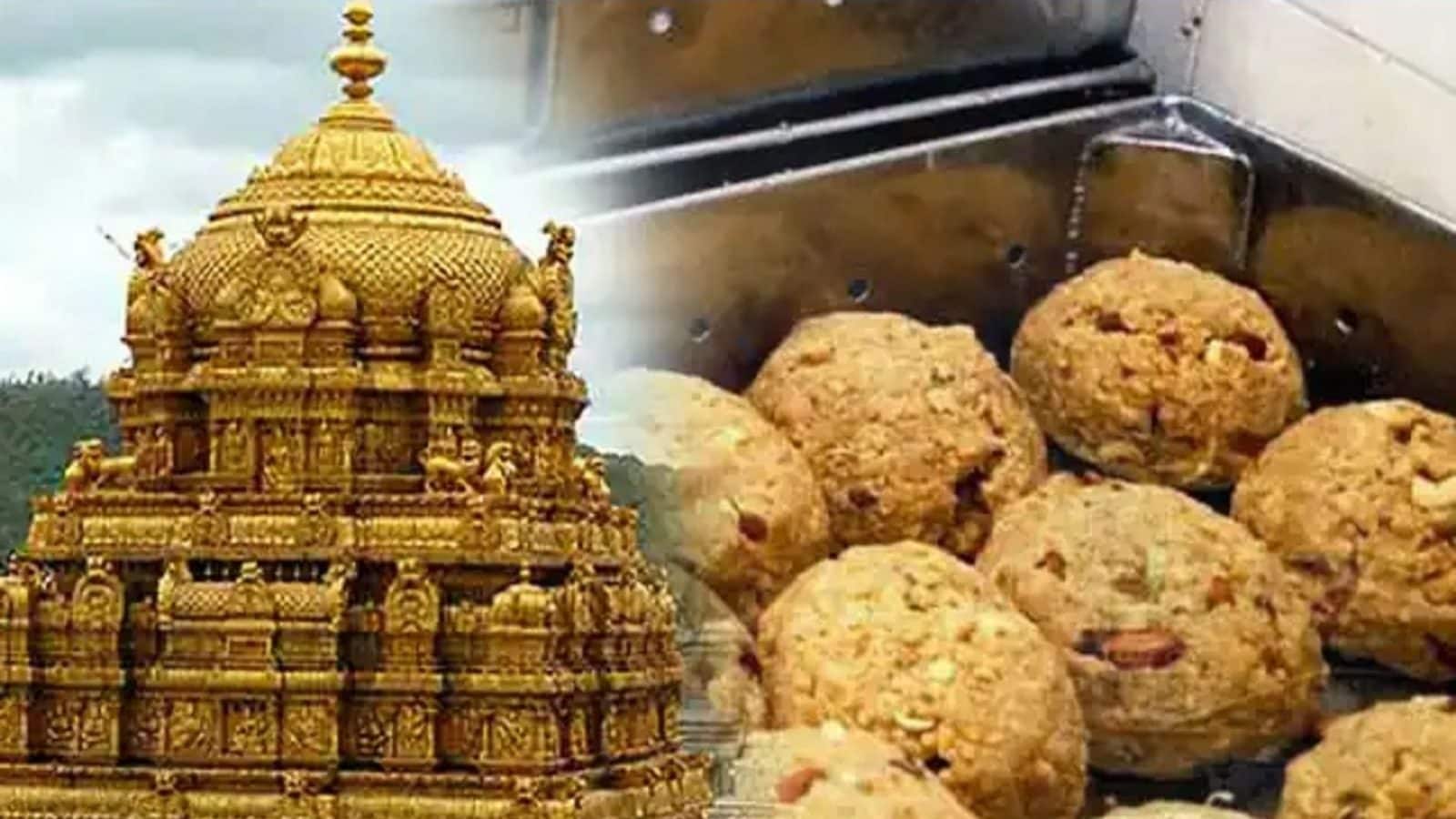 திருப்பதியில் 8 நாட்களில் 24 லட்சம் லட்டுக்கள் விற்பனை..!