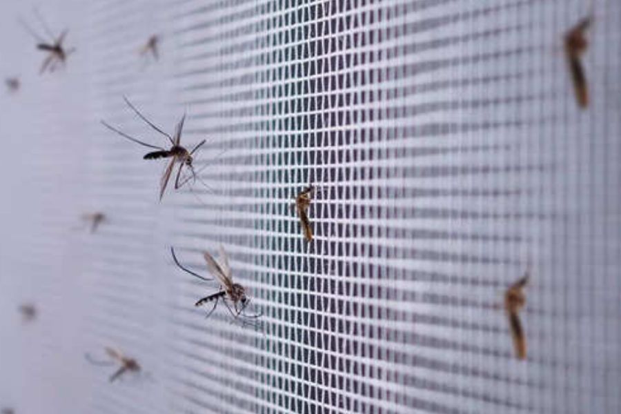  ,[object Object],மழைக்காலம் என்பதால் வீட்டை சுற்றி கொசு ஏதேனும் ஒரு வகையில் உற்பத்தியாகி, நம்மை கடிப்பதற்காக வீடுகளுக்குள் படையெடுத்து வரும். ஆகவே, தேவைப்படும் நேரங்களில் கொசுவிரட்டி லிக்யூட்களை பயன்படுத்த வேண்டும். வீட்டு ஜன்னல் மற்றும் கதவுகளில் கொசு வலை கட்டுவது அவசியமாகும். இரவு தூங்கச் செல்லும்போது கொசுவலை போர்த்திய மெத்தையில் தூங்குவது நல்லது.