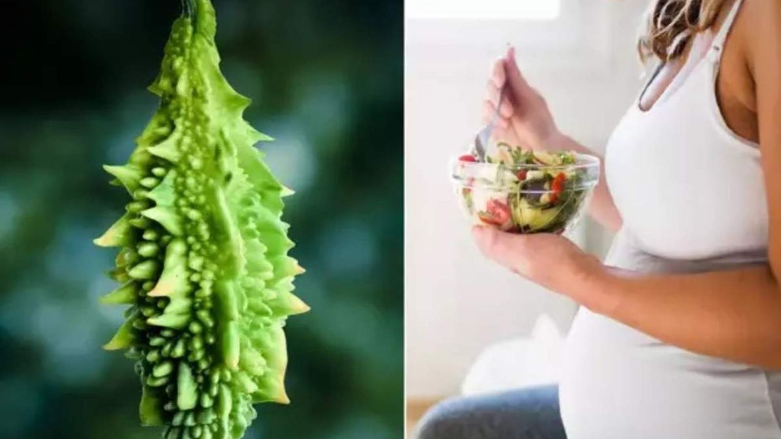 கர்ப்ப காலத்தில் பாகற்காய் சாப்பிடுவதால் இவ்வளவு நன்மைகள் கிடைக்குமா? தெரிந்து கொள்ளுங்கள்!