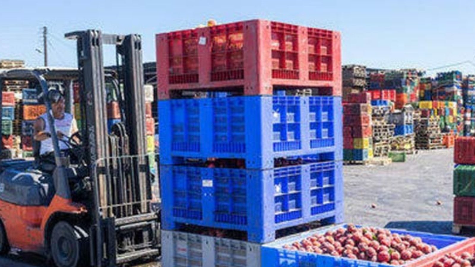 வேளாண் பொருட்கள் ஏற்றுமதி - கோவையில் 5 நாட்கள் பயிற்சி முகாம்