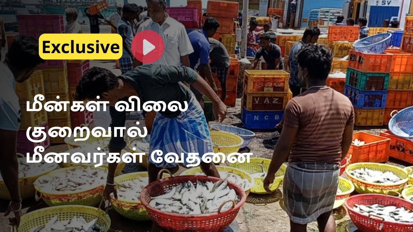 Ramanathapuram | புரட்டாசி மாத பாதிப்பு: மீன்களின் விலை குறைந்ததாக மீனவர்கள் வேதனை