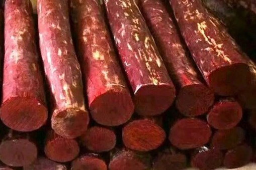 மாதிரிப்படம்