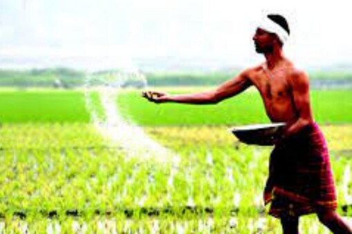 தஞ்சாவூர் 