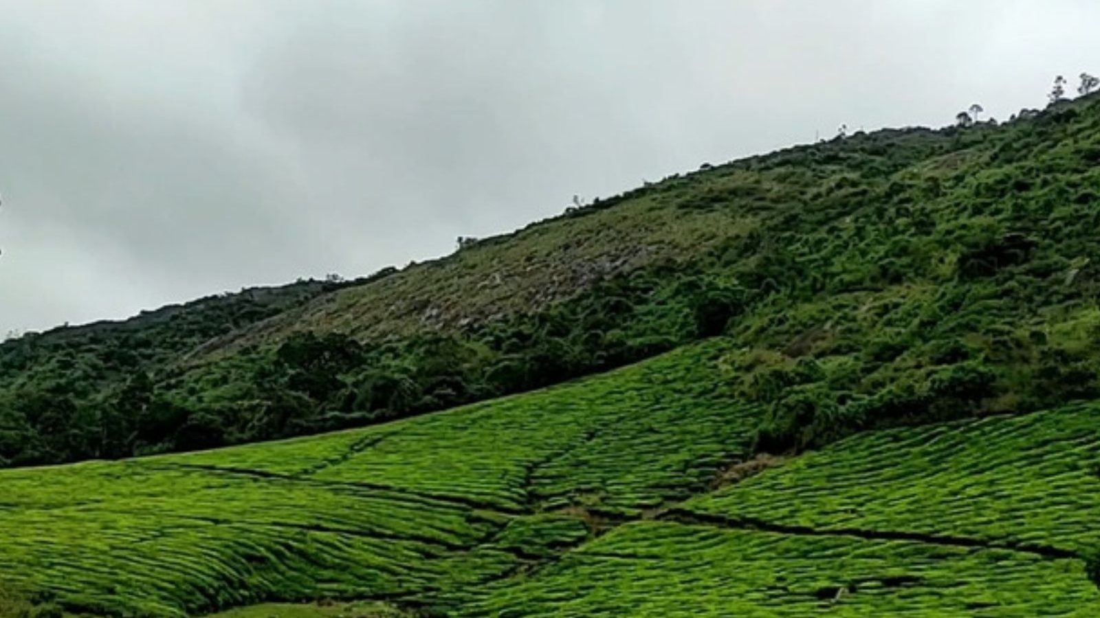 தேனி மாவட்டத்தை சேர்ந்த பிரபல சினிமா இயக்குனர்கள் யாரெல்லாம் தெரியுமா? 