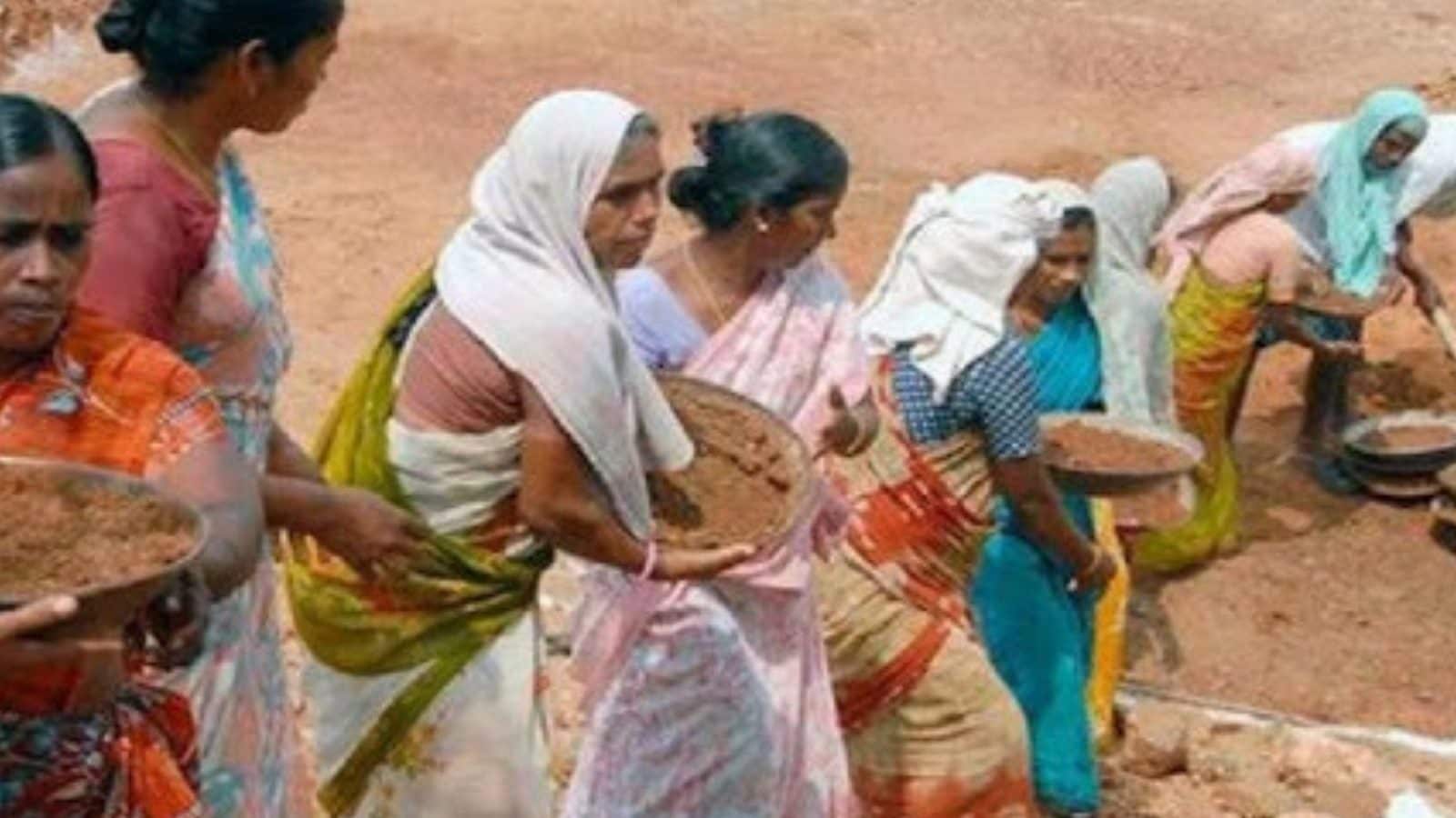 100 நாள் பணியாளர்களை விவசாயிகள் பயன்படுத்தி கொள்ளலாம் - திருப்பூர் தோட்டக்கலை துறை அறிவிப்பு