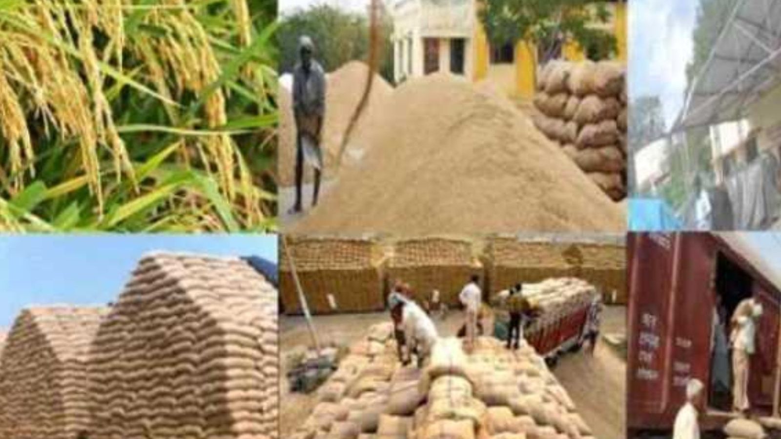 தமிழ்நாடு நுகர்பொருள் வாணிபக் கழகத்தில் வேலை.. விண்ணப்பிக்க நாளையே கடைசி நாள்