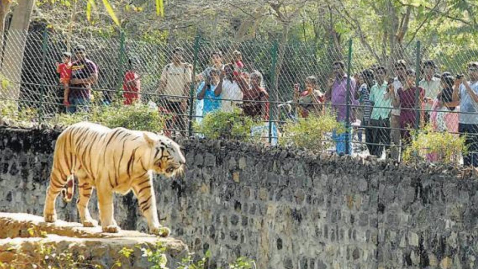வண்டலூர் உயிரியல் பூங்கா நாட்டிலேயே சிறந்த உயிரியல் பூங்காவாக தேர்வு..!